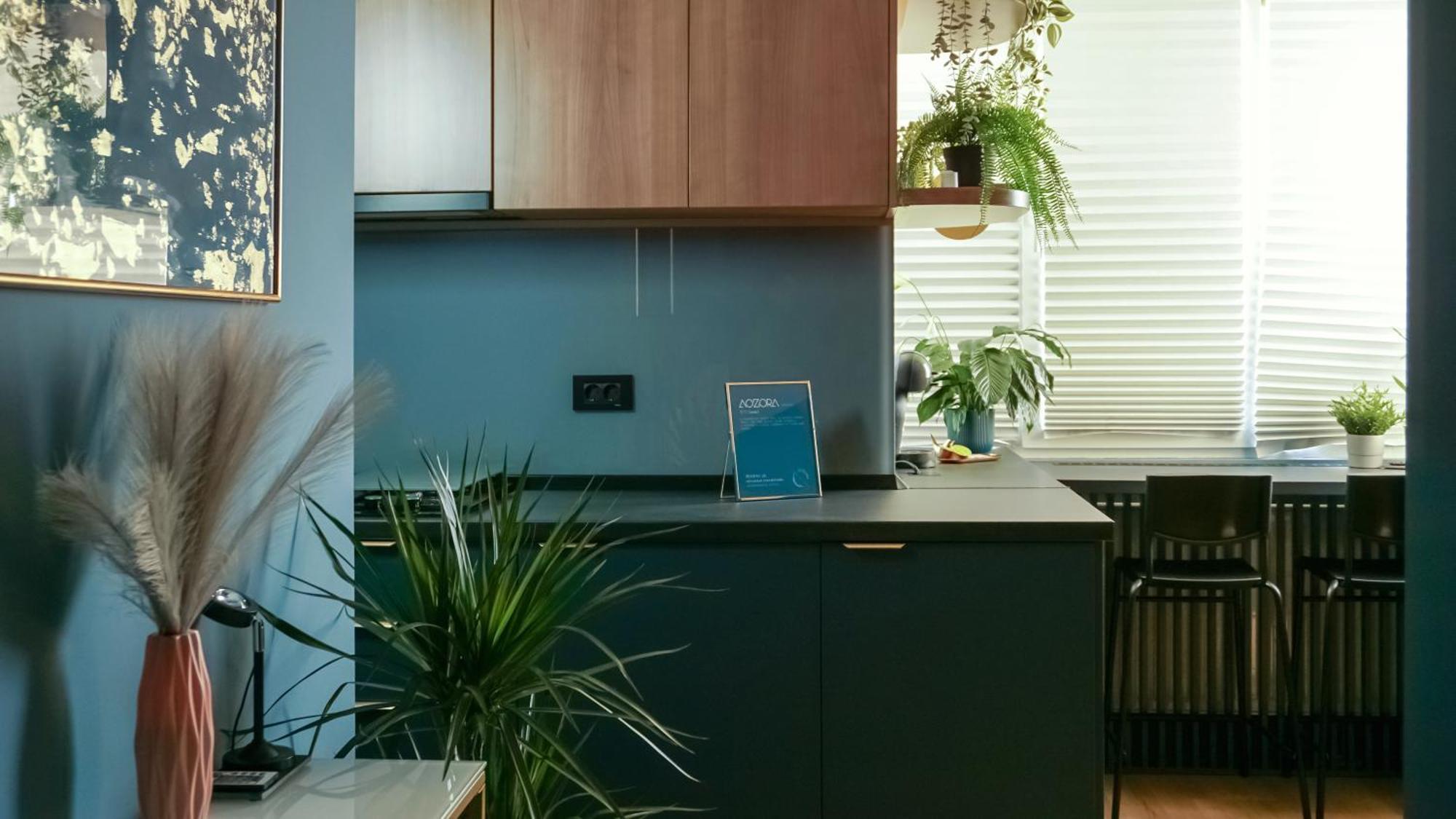 Apartament Aozora *